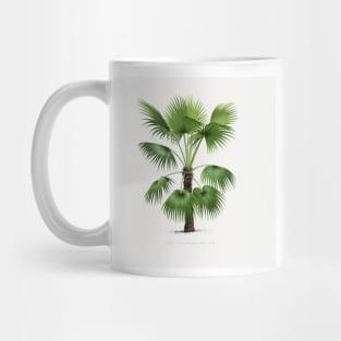 9 Les Palmiers Histoire Mug